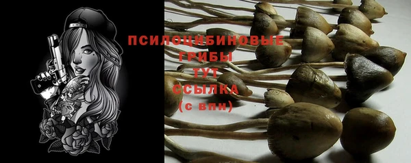 ГАЛЛЮЦИНОГЕННЫЕ ГРИБЫ Богданович